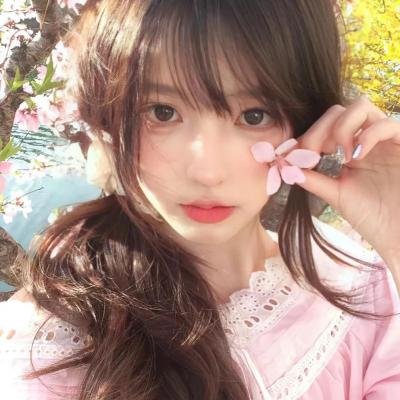 泰迪熊