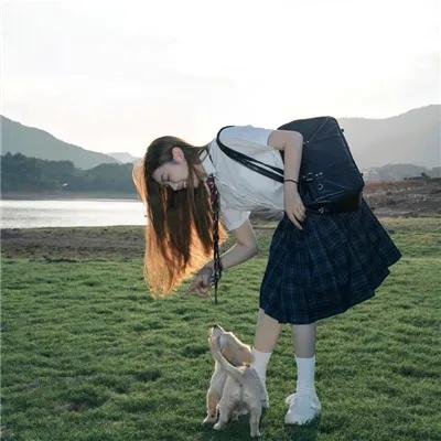 龙牌之谜